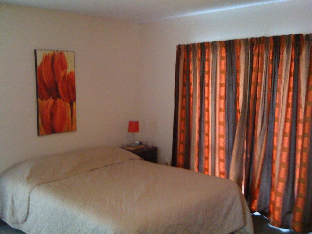 كريستتشيرش Avalon Motels المظهر الخارجي الصورة